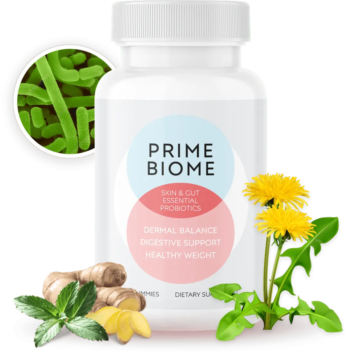 PrimeBiome supplement